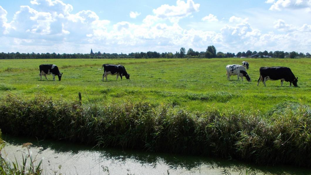 Biologische landbouw